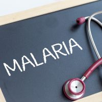 Malaria